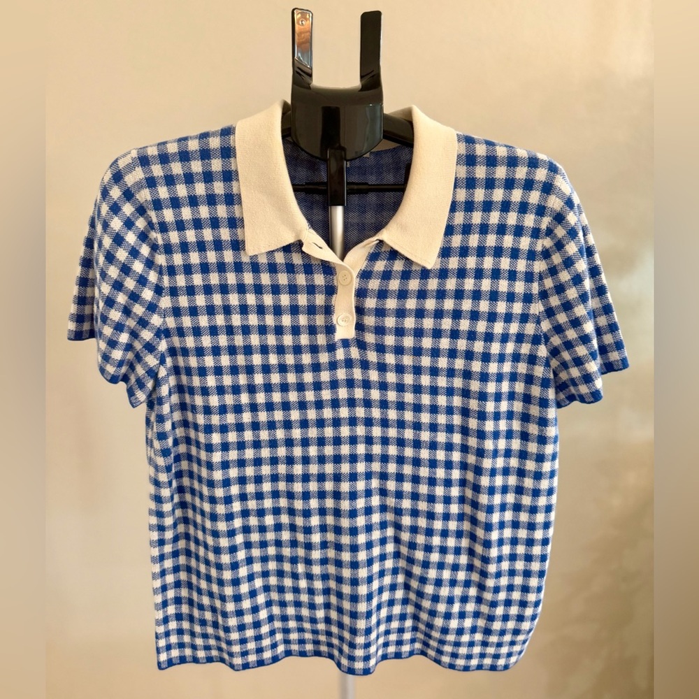 Alex Mill Blue and White Gingham Polo